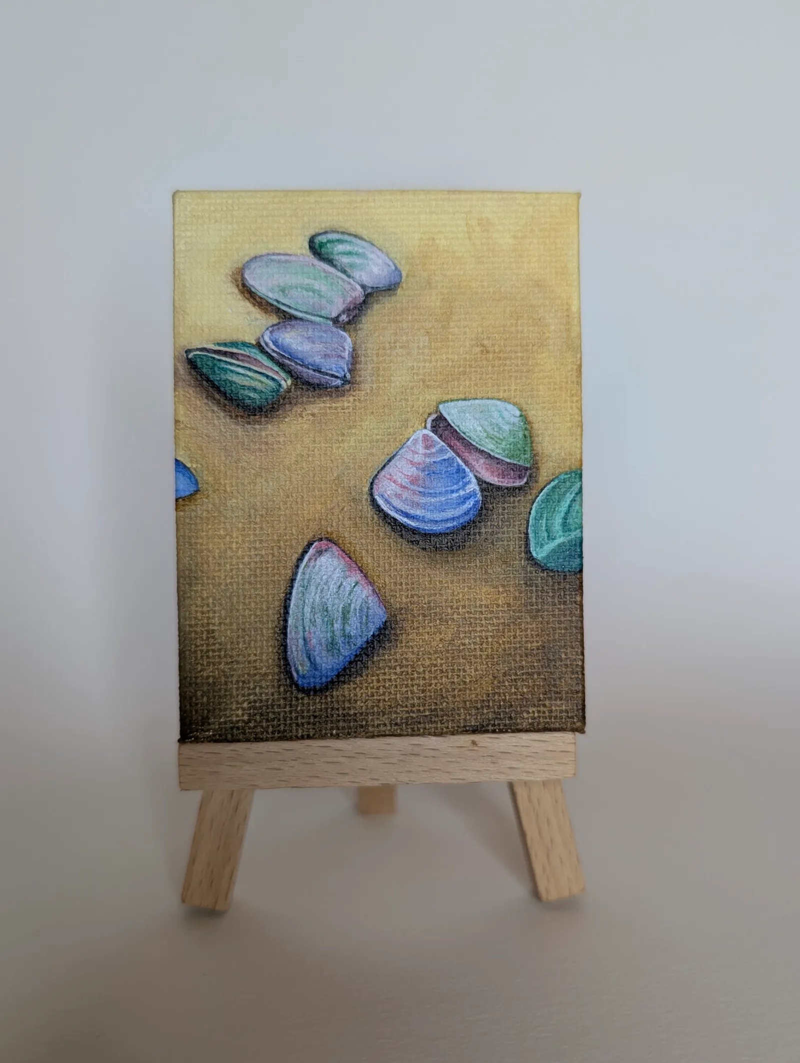 Cockles in Colour