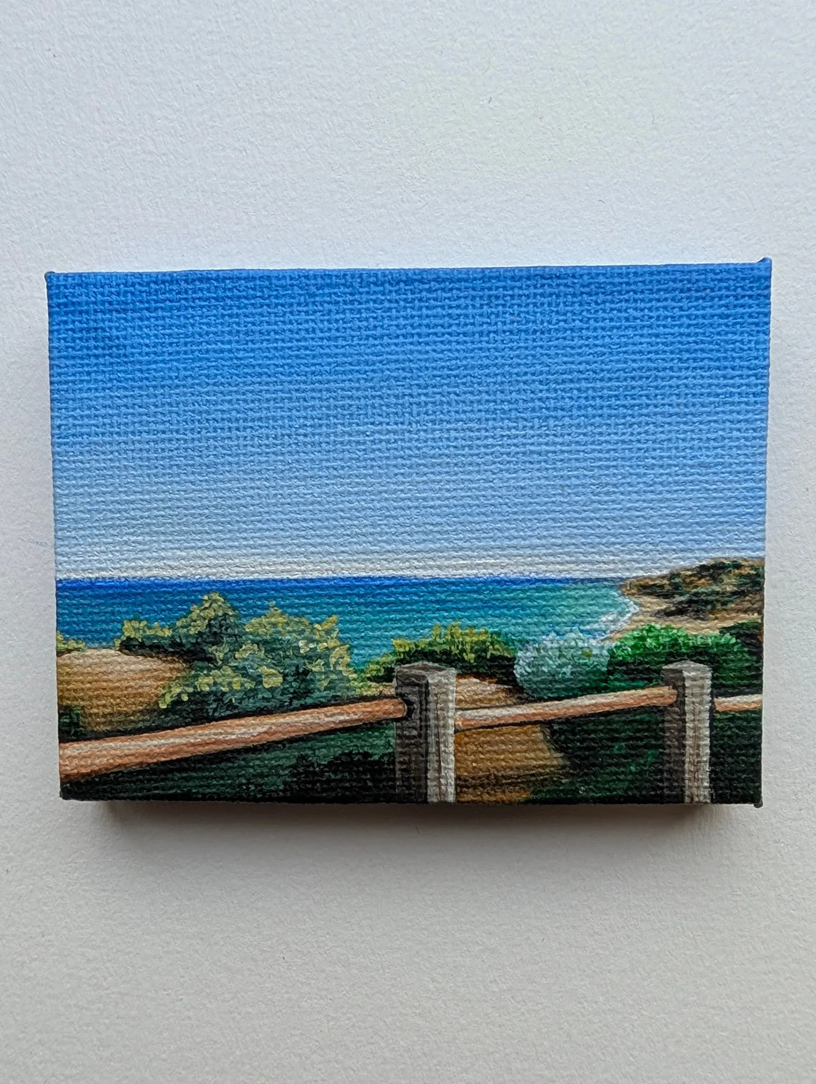 Looking Out